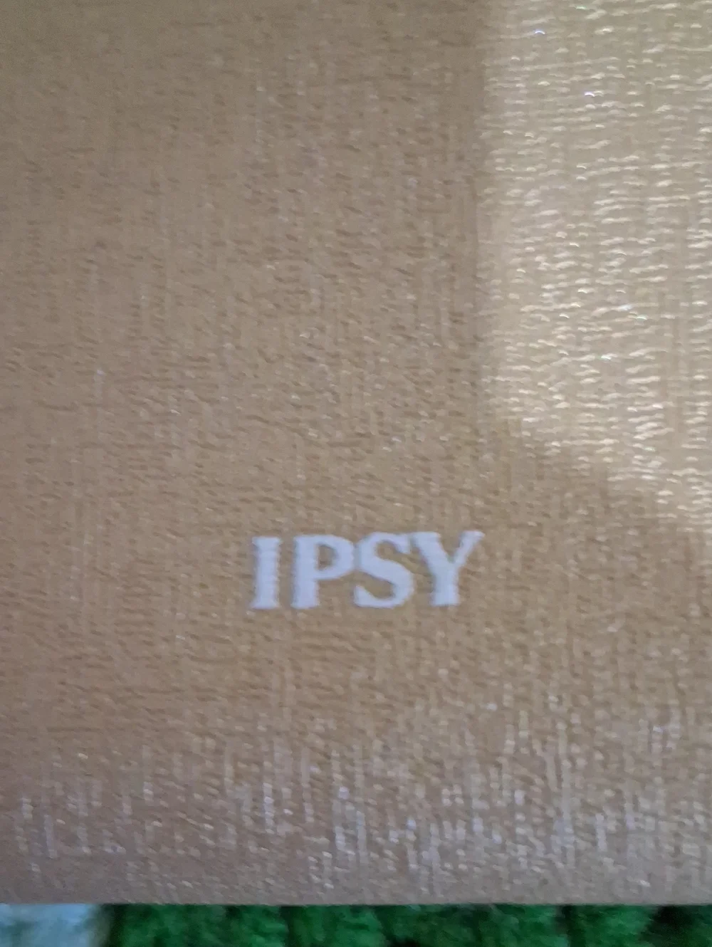 IPSY Case